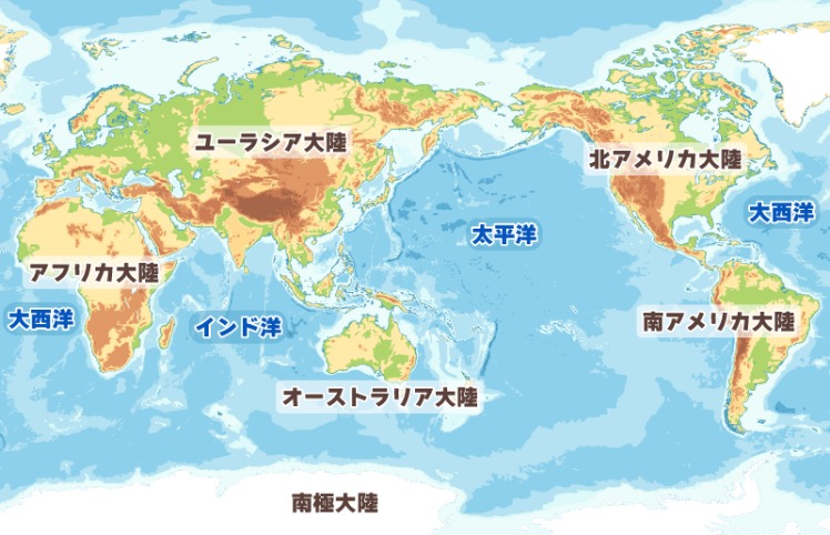 世界杯投注数据分析