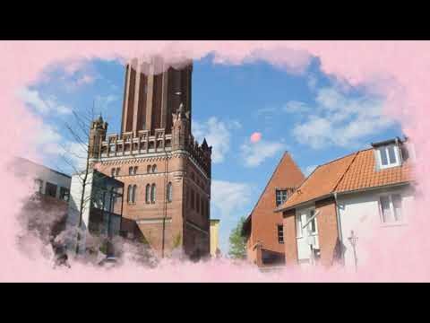 世界杯投注数据分析