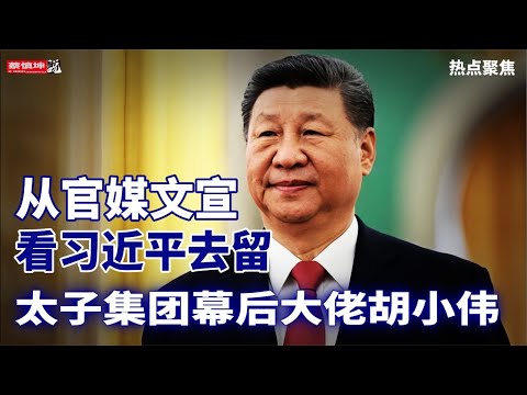 世界杯投注数据分析