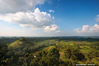 世界杯下注网站