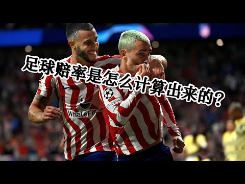 世界杯冠军投注赔率