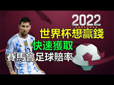 世界杯投注数据分析