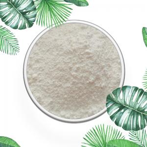 2026世界杯网上投注