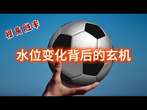 世界杯冠军投注赔率