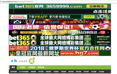 世界杯投注数据分析