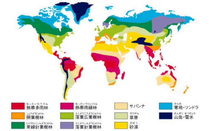 世界杯投注数据分析