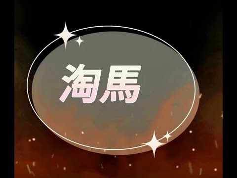 世界杯投注数据分析