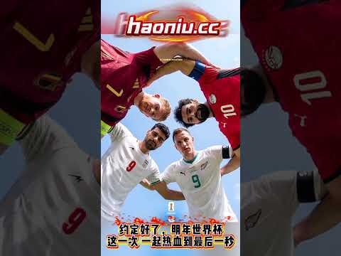 世界杯足球购买