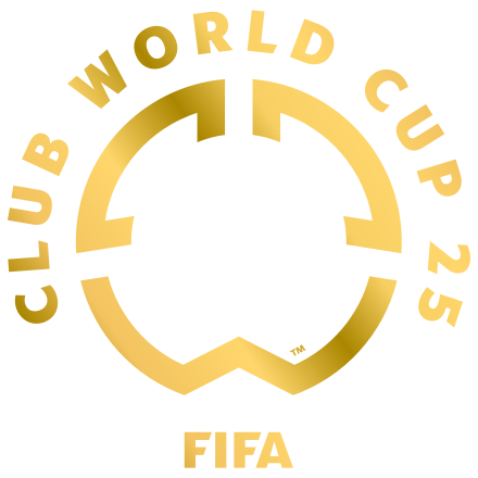 世界杯足球购买