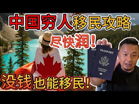 世界杯足球购买