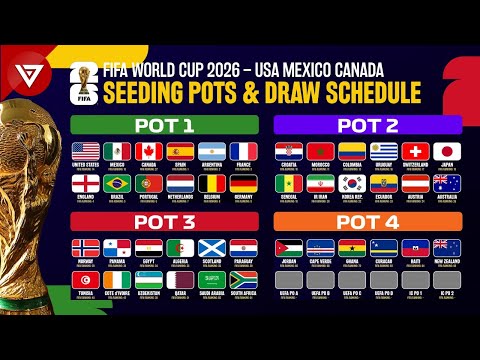 世界杯足球购买