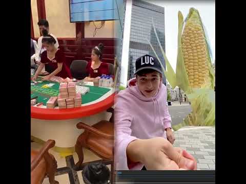 世界杯投注教学