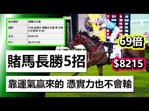 世界杯投注教学