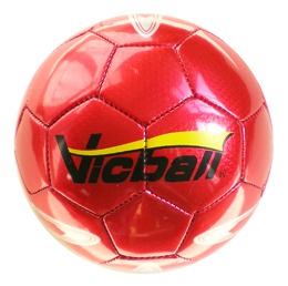 世界杯足球购买