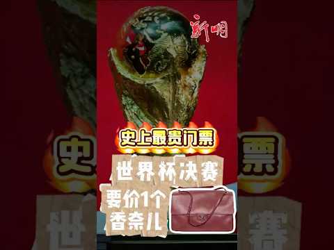 世界杯怎么买